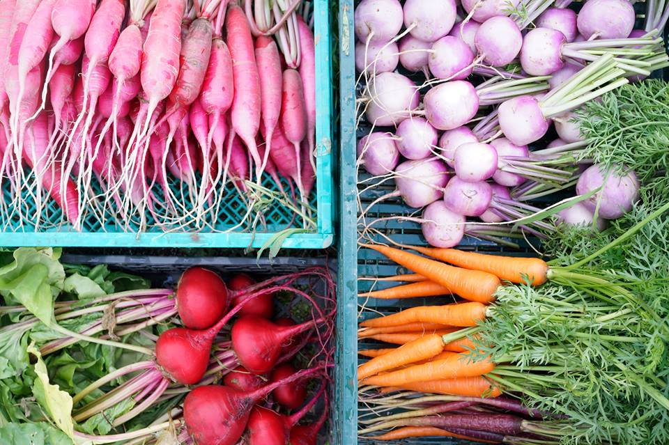 norajune03
