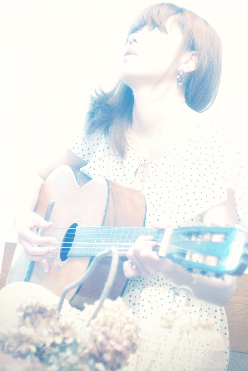 01-2_moskitoo_photo
